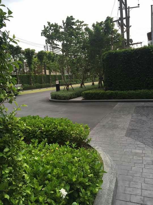The​ Base​ ​pattaya​ By Ammy 3*